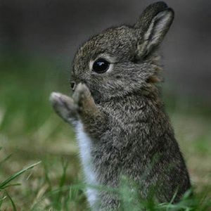 Meet your Posher, Francesca